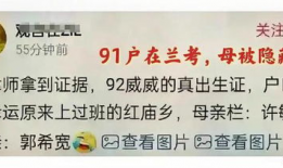 许妈直播91年户口,揭秘直播行业的崛起与变迁”